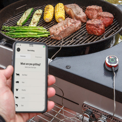 Weber IGrill Mini mit LED Display